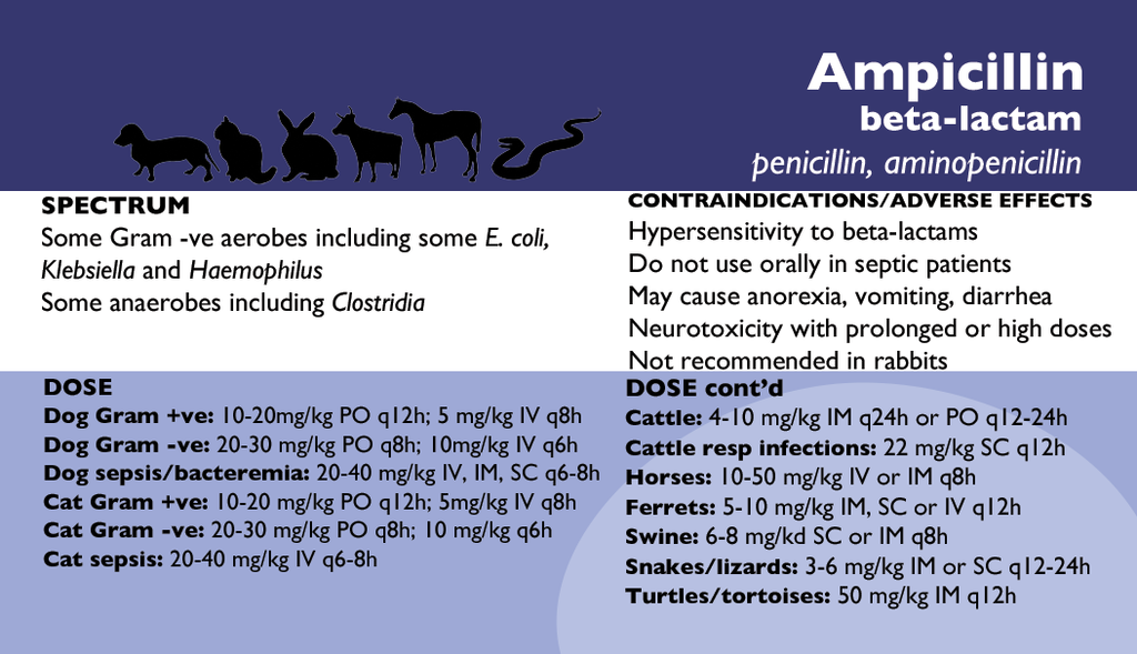 Veterinary Antimicrobials Pull Know